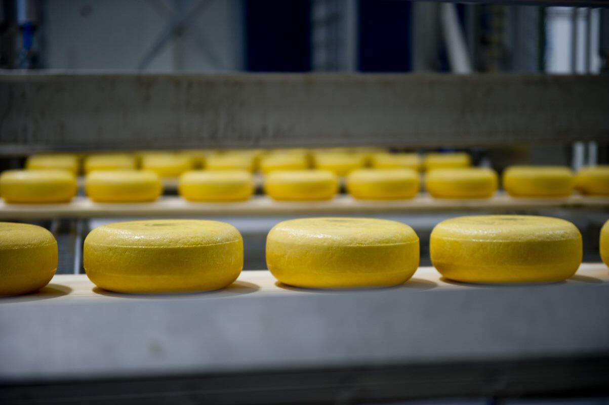 IND Industry Cheese 10