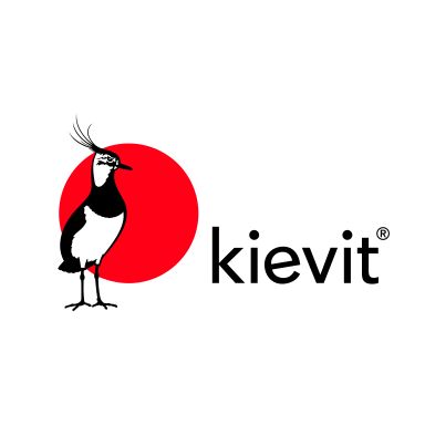 Kievit