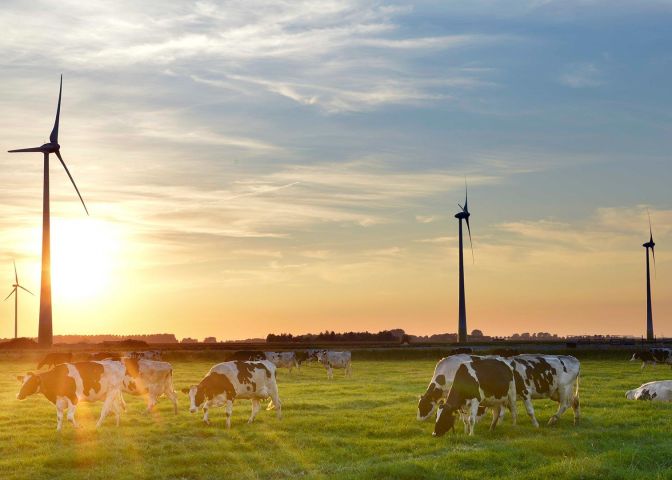 Windmolens