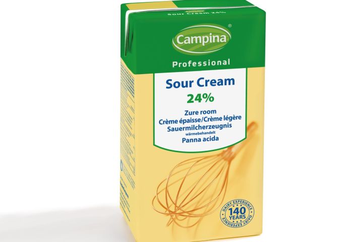 Campina Professional sour cream 24%