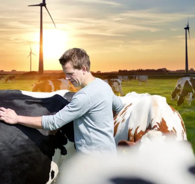 Image_Farmer-FrieslandCampina-1063x1000.jpeg