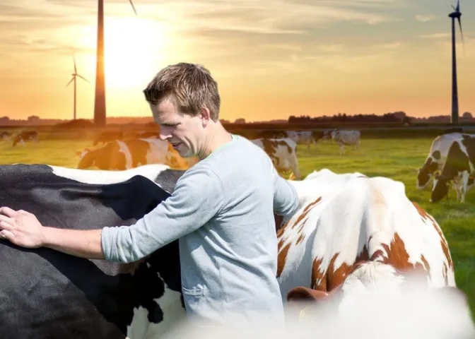 Vierkant Farmer-FrieslandCampina