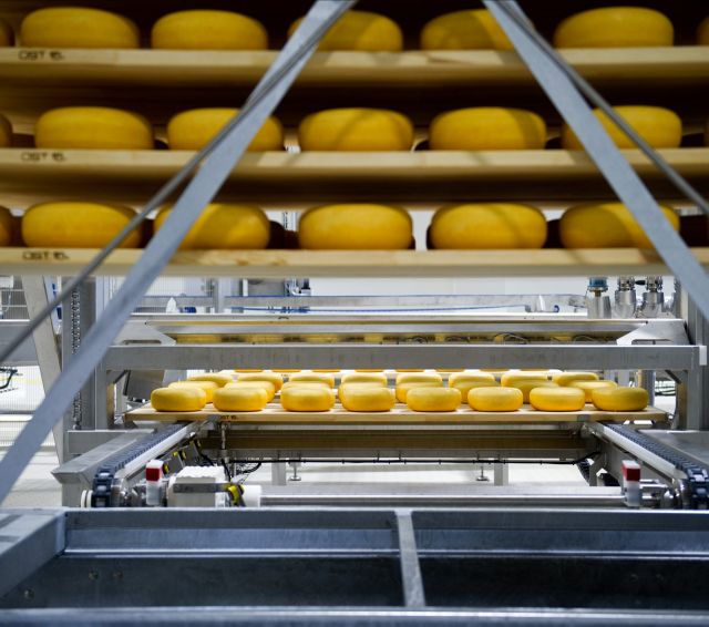 Cheese
