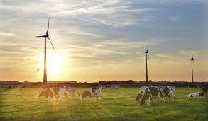 wind mill